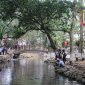Du xuân lên thăm làng Ngọc