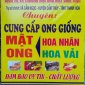 Mật ong rừng Cẩm Ngọc được công nhận đạt OCÔP