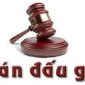 Xã Cẩm Ngọc Bán đấu giá đât 