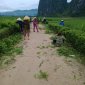  Lan tỏa phong trào “ngày thứ 7 Nông thôn mới”, “ngày Chủ nhật xanh”